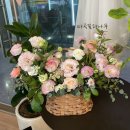 마곡꽃과나무 이미지