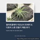계성초등학교 | 코지 시엘 평택 계성초등학교와 함께한 웜아트클레이 이오 난사 트레이 &amp; 디퓨저 스톤 만들기 체험 후기