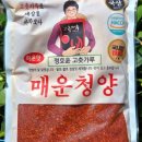 오뎅매니아