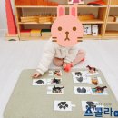 스콜라몬테소리양산덕계점