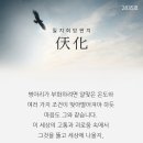 천화 이미지