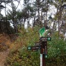 비슬산둘레길 7구간 이미지