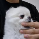 (주)노즈워크 이미지