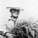 박정희로-32 이미지