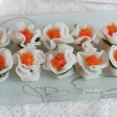 봄나들이 도시락 만들기 이미지