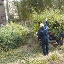 내리농장 이미지