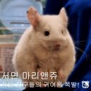 마리앤쥬 | 부산 서면 실내동물원 마리앤쥬 후기 🐾 아이와 함께 힐링 체험