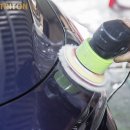 더트리톤 이미지