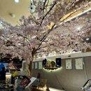 영성로 | [다미횟집] 두정동 모임하기 좋은 룸 횟집 찐만족 후기