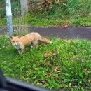 의인농장 이미지