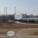 용천리 곡강천 네이버블로그