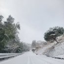 영락공원(주차장) 이미지