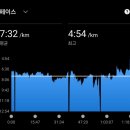 송원여자고등학교 | 제14회 광주평화통일마라톤 참가 후기
