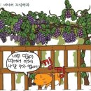 여우와 포도 이미지