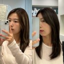 유이프헤어 웨딩염색 이정아 원장님 스튜디오 촬영 웨딩컬러 (예약 시기/가격)