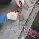 우광산업