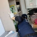 개미 | 부산방역업체 가정집 개미 퇴치 작업 과정 후기