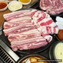 탐라도야지 이미지