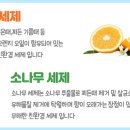 늘푸른청소 이미지