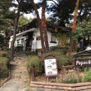 파파스브로트 이미지