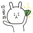 베이비또율 이미지