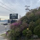 애즈유라이크(As you like) 이미지