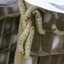 산동정미소 이미지