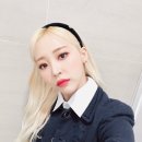 더트랩