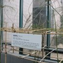 전주한지박물관 이미지