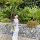 보배당구장 이미지