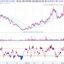 은진글로벌 이미지