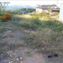 장안읍반룡리-74 이미지