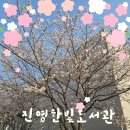 진영한빛도서관 | 진영 벚꽃 명소~진영한빛도서관~