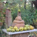 카사벨라 이미지