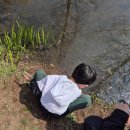 화명대천천 | [부산 아이랑 가볼만한 곳] 화명수목원 봄꽃 산책 후기 (무료 나들이 추천)