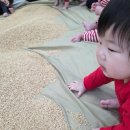 킹콩안경 | 김천 혁신 지오문화센터 문센 추천 리틀킹콩 수업 후기