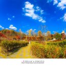 대청호 자연수변공원 이미지