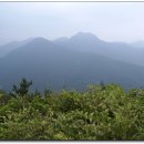 동서옥