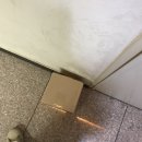[리뷰] 천연화장품 아틀리에비 진짜 거짓 쏙 빼고 4일 써본 후기✨✨