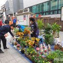 여주한글시장(여주중앙로상점가) 이미지