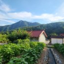 산아래물가에서 이미지