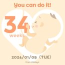 평택푸른약국 | 임신기록ㅣ임신 34주차 증상&amp;일상(부제: 고위험 산모에서 중위험 산모되다..)ㅣ아기방 정리