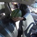 머리합니다 이미지