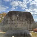 말티푸 강아지 짱아의 경주여행 (키녹호텔 후기)