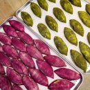 해남보리밥 이미지