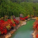 아라시야마 [嵐山(람산)]의 가을 단풍 이미지