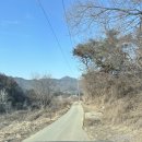 하봉 | 월악산 보덕암 코스 (하봉~중봉~영봉) / 진흙 산행 후기