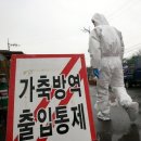 율리2농장 이미지