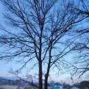 신운리농장 이미지