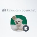 BABISOO 켄넬 이미지